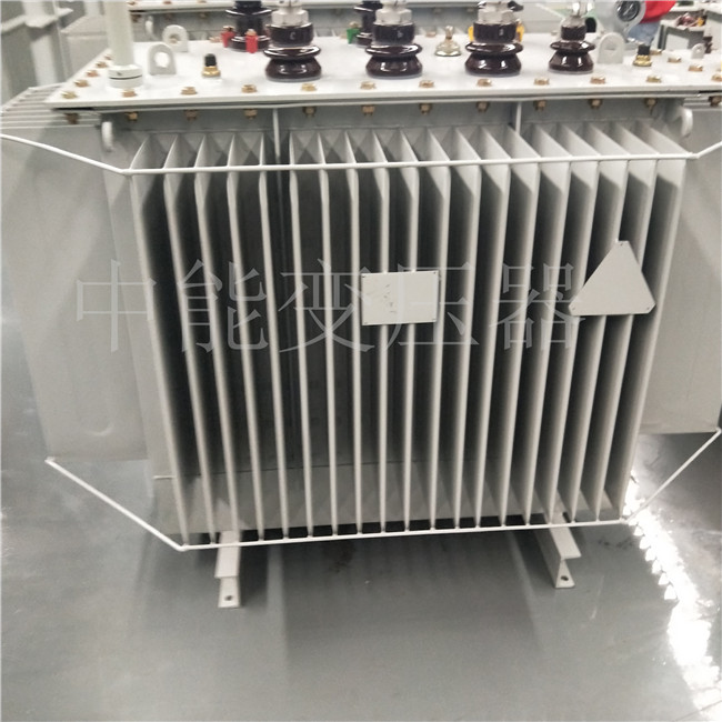 甘肃S20-800KVA变压器